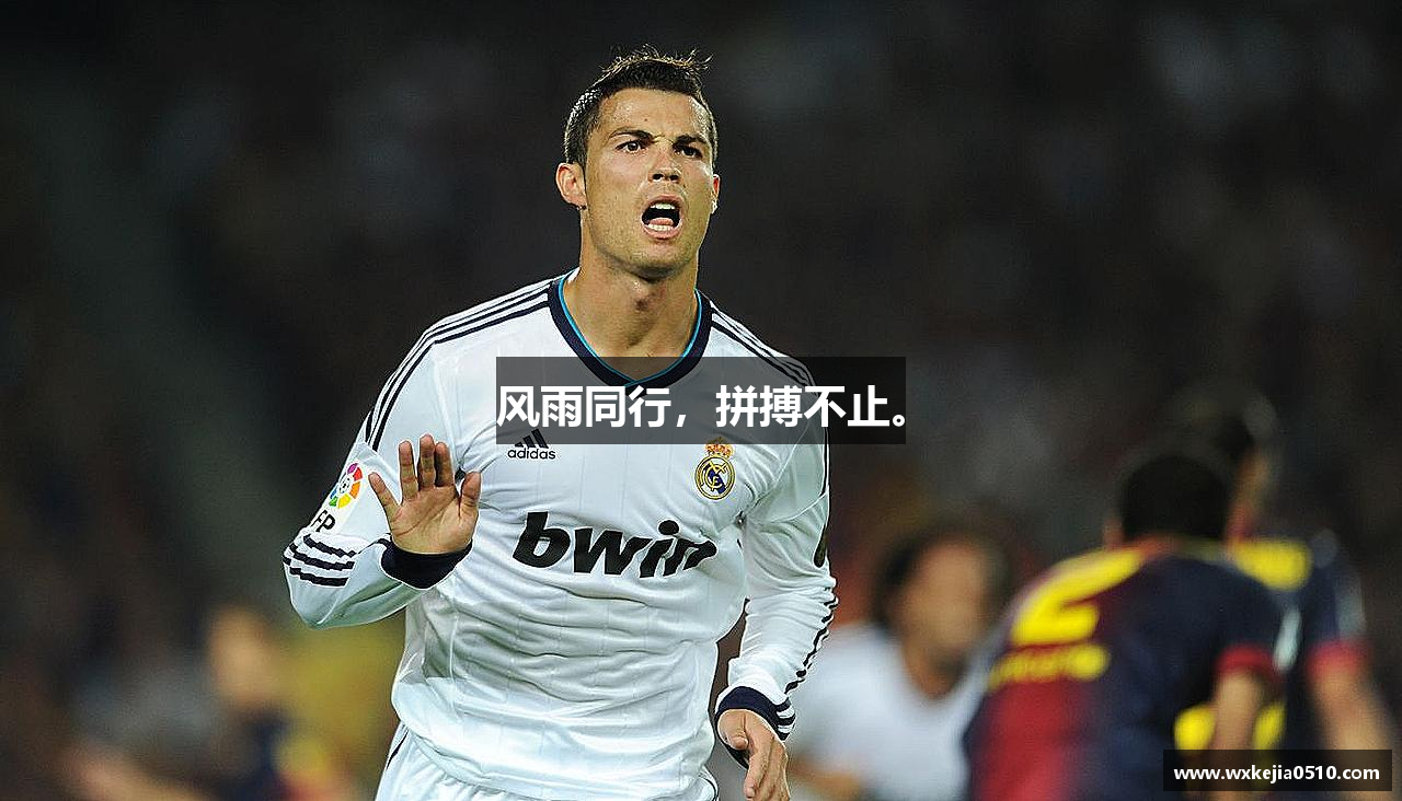 星空官网风雨同行，拼搏不止。